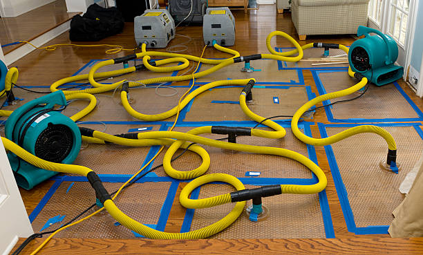 Professional Sewage Cleanup technician working in Falmouth, ME